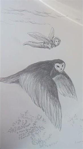 check out this drawing of a guy flying with an owl