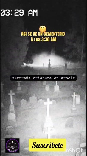 cementerio#paranormal #miedo #ghostarea#demonios #horror #ghost #fantasmas#cemetary #haunted
