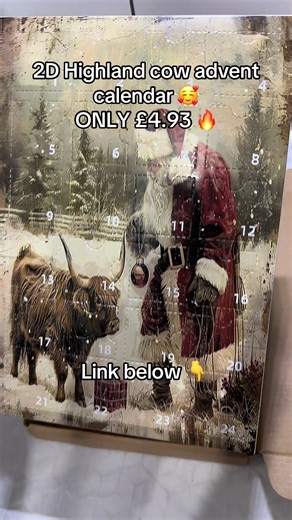 Adorable Highland Cow Advent Calendar for Christmas
