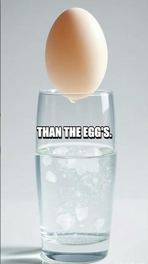 Floating Egg Experiment: Understanding Density