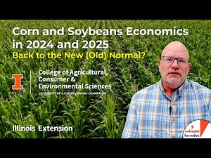 Corn and Soybeans Economics in 2024 and 2025: Back to the New (Old) Normal?