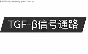 TGF-β信号通路重磅交易咨讯