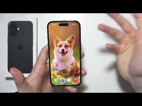 iPhone 17: Does have SIM Slot?