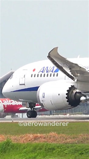 ANA B787-8 takeoff at Kuala Lumpur Airport #shorts #aviation #b787 #takeoff #ana #hongkong #plane