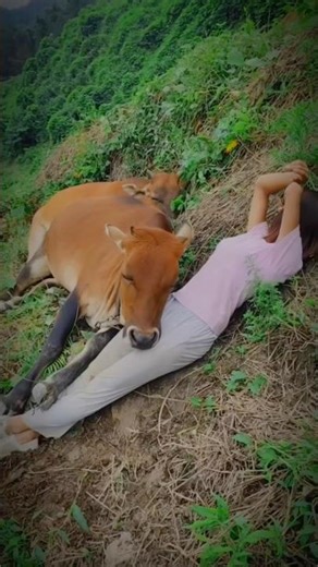 🤫Girl safe cow #youtubeshorts!