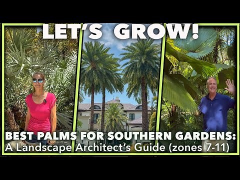 How to Choose the PERFECT Palm: A Landscape Architect's Guide (Zones 7-11)
