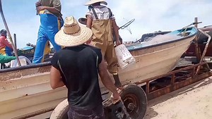 1.3M views · 19K reactions | Sabías que la medusa se come aquí te mostramos el proceso que se ase para esportarla a china 謁謁謁 pesca en el golfo de santa clara sonora  | El compa Coy | Facebook