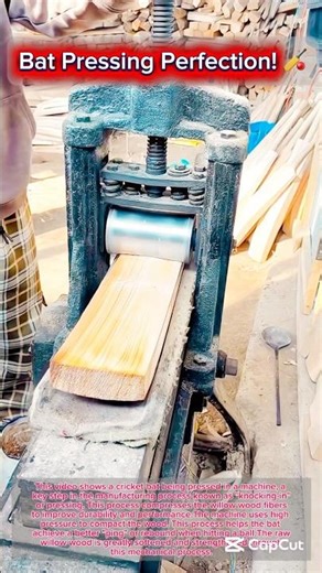 Bat Pressing Perfection! 🏏🔊