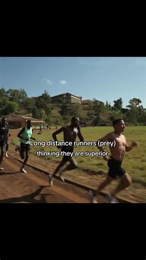 The Thrill of Sprinting: Hunter vs. Prey Dynamics