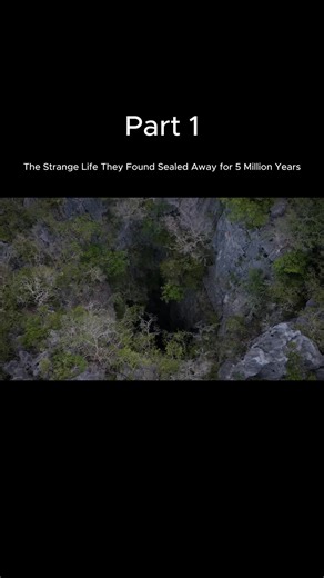 Mr. Science (@mrscience13)’s videos with nhạc nền - Mr. Science