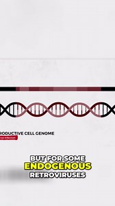 Retroviruses: How Viruses Shaped Human Evolution