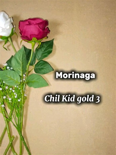 Morinaga Chil Kid Gold 3: The Best Choice for Growing Kids