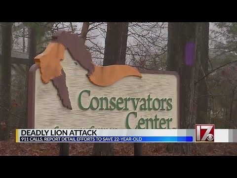 3 tranquilizer darts, 8 bullets used to take down lion after fatal NC attack