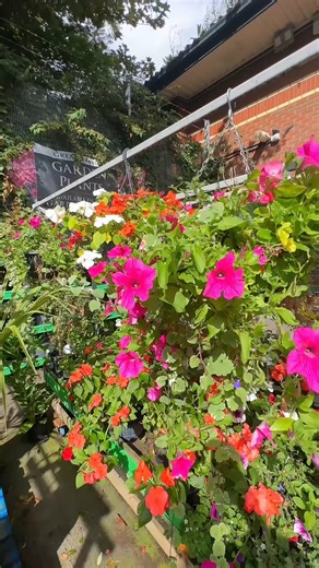 43K views · 69 reactions | Exclusive Duck Botanical Wonder in B&M !...