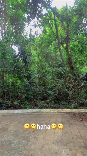 វីដេអូ​របស់ Dev Singh Thakuri (@devsinghthakuri) ជាមួយ original sound - Sunil Nepali Official