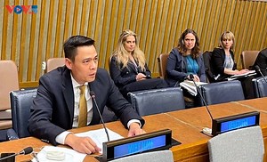 Vietnam nominated chair of Non-Proliferation of Nuclear Weapons Review Conference