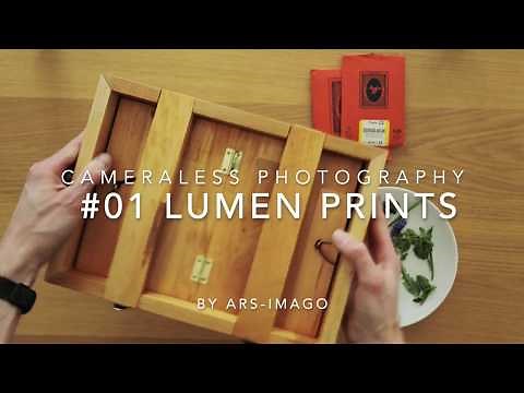Cameraless Photography - #01 Lumen Prints