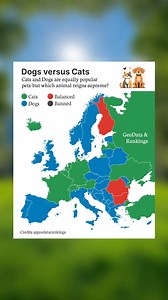 Dogs vs Cats in Europe 🐕🐈 | Steven's GeoData & Rankings