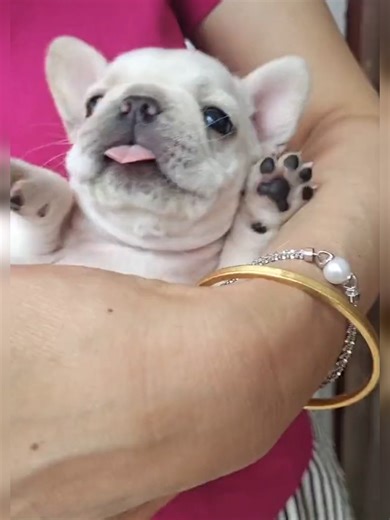 If (@if.uou)’s videos with original sound - If