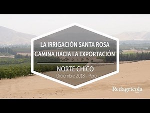 LA IRRIGACIÓN SANTA ROSA DE LLENO EN LA EXPORTACIÓN