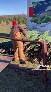 We can’t wait to see everyone soon! Don’t worry your trees are not cut down until ONE WEEK before we sell. That is how we can guarantee they will stay fresh and last long beyond the holiday season! #kringlebrothers #freshcuttrees #roscoevillage @Village Tap Chicago @printersrowbrewery @spitefulbrewing