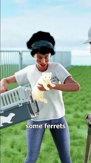 How Ferrets Saved London’s New Year’s Eve Concert 😮