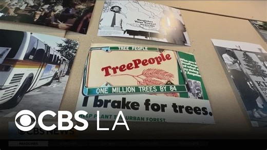 TreePeople celebrates 50 years in LA with a new exhibit