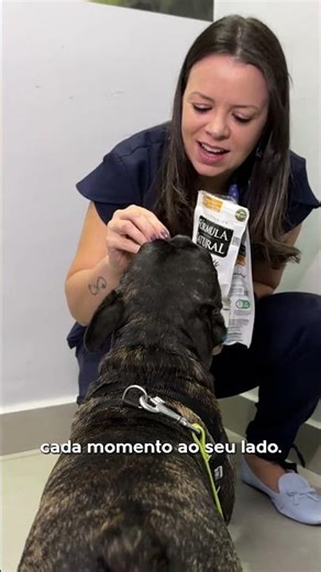 Dia da Felicidade - CãoBoy