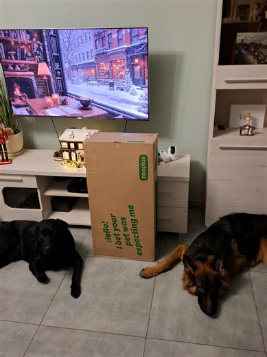 Apelujemy! Jeśli ktoś widział Starszą...to niech chociaż odda paczkę! Zawartość paczki od @zooplus to: - mięciutkie legowisko - pyszne smaczki od Purizon z dużą zawartością mięsa - WIEWIÓRKI - totalny must have 🤪 - szczotka do czesania tyłka i obcinaczki, żeby przyciąć Gówniakowi pazury, bo już mu się zawijają 😁 A teraz hit: Dla nowych użytkowników aż -15% na produkty z linku Tylko do 31.01 z kodem LABIDAKAR15 oraz -10% dla Wszystkich z kodem LABIDAKAR10 http://spkl.io/ulubione_labidakar #psy 