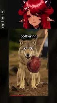 YOU USED TO BE A WOLF... 💀