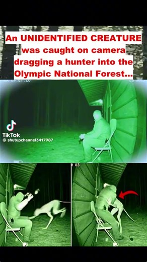 Death angels shop (@angel.death3)’s videos with original sound - Death angels shop