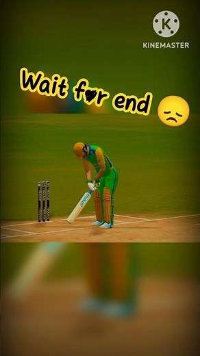 Best Cricket Shorts Highlights