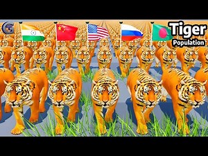 Tiger Population by Country 2025 | Comparison Video
