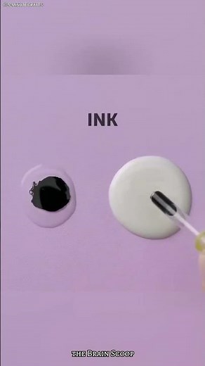 Science experiments that look like magic 😰 #shorts #ScienceMagic #DIYScience #AmazingExperiments