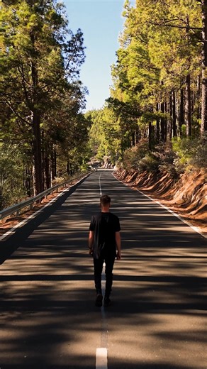 47K views · 507 reactions | Lights, Camera, Flip  With AI Subject Tracking, DJI Flip keeps you in focus—whether you're exploring the forest or conquering new heights. Let it handle the filming, while you focus on the adventure! Ready to capture your next epic moment?  IG/@darylswalker #DJIFlip #VlogDrone #CameraDrone | DJI | Facebook