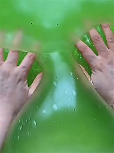 b#丹是有你 #派大星吃果子 小姐姐你要不要脸呢 模仿樱季干啥呕恶心死了🤢已互q #混剪素材 #史莱姆素材 #史莱姆混剪素材