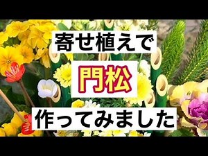 [Enjoy gardening!] This video shows how to make a Kadomatsu with a flower arrangement. The flower...