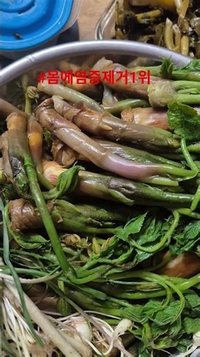 #독활#두룹#땅두릅 #집밥 #먹방#맛집#김치#food #당근라페 #cooking #간계밥