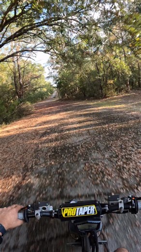 Rodz🧙🏽‍♂️ on Instagram: "• • • #piaggiotyphoon #piaggio #rt70 #70cc #2stroke #scoot #scootlife #bike #rodz #bikelife #stage6"