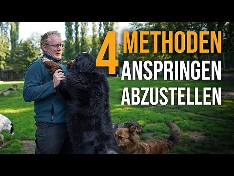 THIS IS HOW IT WORKS! ✅ 4 ways to stop your dog from jumping up! (Dog jumps up on people)