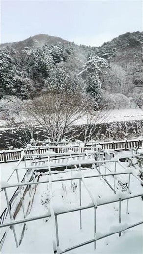 家の窓から見える美しい雪景色☃️塩原温泉郷の日常♨️⛰️🏞️