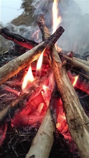 #motivational #sad #inspiration #motivationalquotesoftheday #inspirationalquote #hearttouching