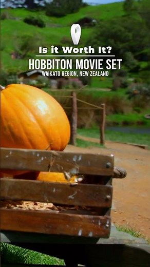 Is Hobbiton Worth It from Auckland? | See And Do NZ #newzealand #lordoftherings #thehobbit