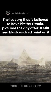 385K views · 1.4K reactions | As many of you have heard, Instagram has been taken down, and I am fighting hard to get it back. In the meantime, I have created a backup account called as "themorbidkuriosity" so please support the account there if you like my content. Thank you! | Morbid Curiosity | Facebook