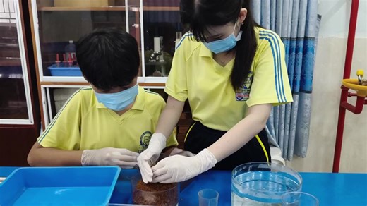 Quy trình BIOBRICK #CapCut