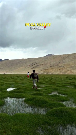 Puga Valley, Ladakh 😍 Hidden Gem You Must Visit! | Beautiful Green Marshlands 🌿