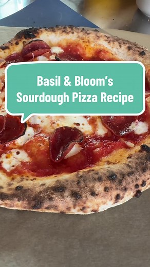 Easy Sourdough Pizza Recipe with Homemade Dough Balls