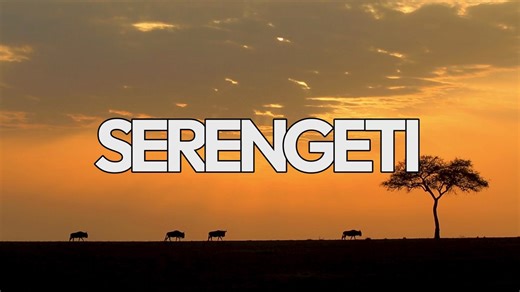 Serengeti: Witness the Greatest Wildlife Show on Earth
