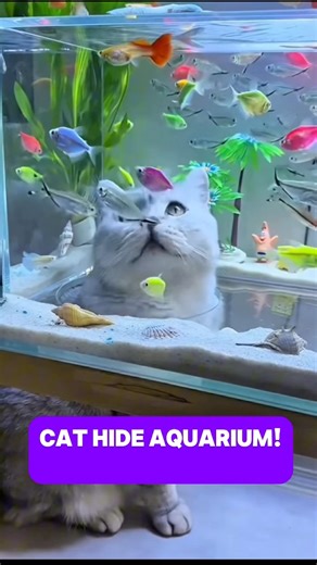 285K views · 2.1K reactions | THIS IS SO COOL! I want to try to build...