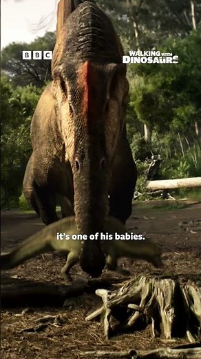 Dino Dad to the rescue | Walking With Dinosaurs - BBC